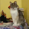 Отзыв от Ираида Евсеева